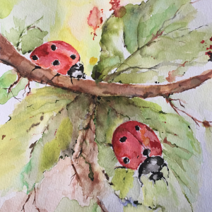 Two Ladybugs painted by Kim Knuth