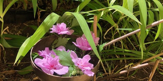 singingbowlingarden.BS_